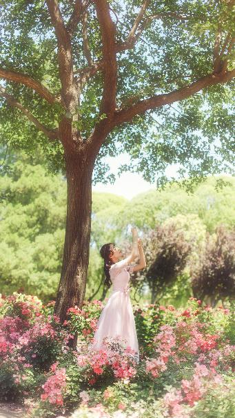 中文在线字幕2023年最新电视剧